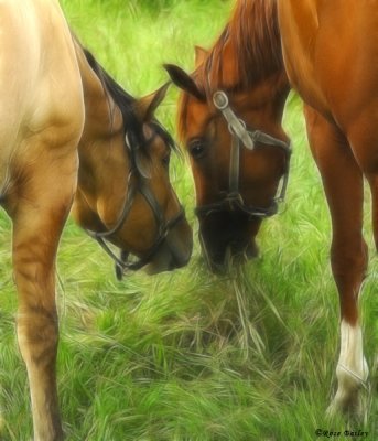 Sharing Lunch
