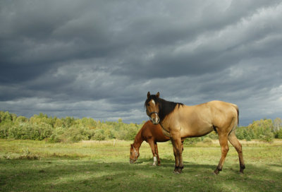 Look Out!  A Storm Is Coming!