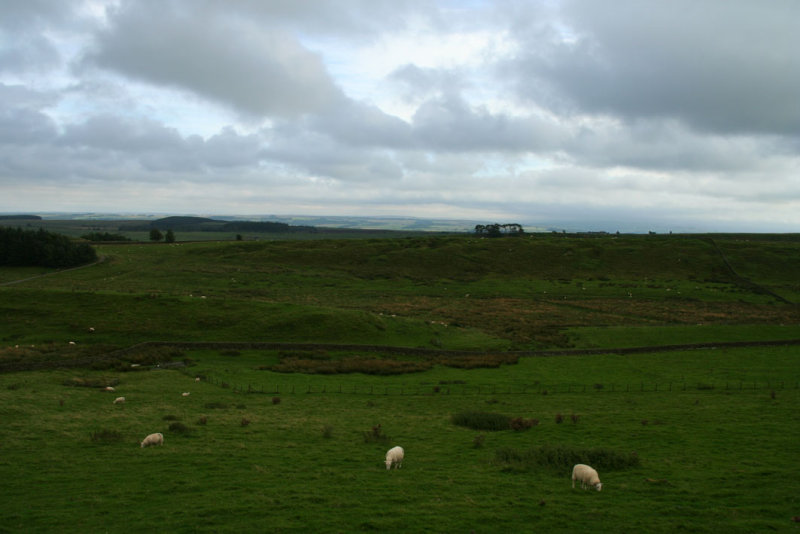 Housesteads Fort