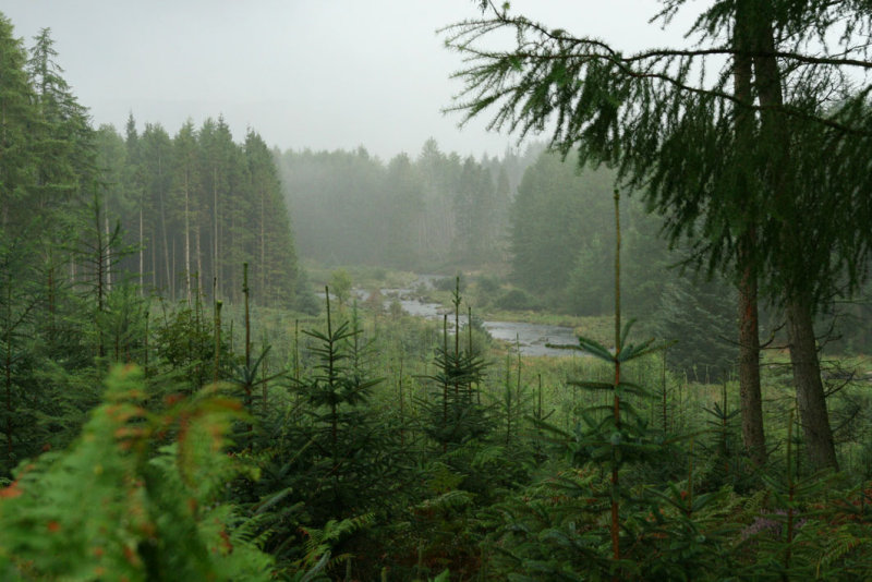 Galloway Forest Park