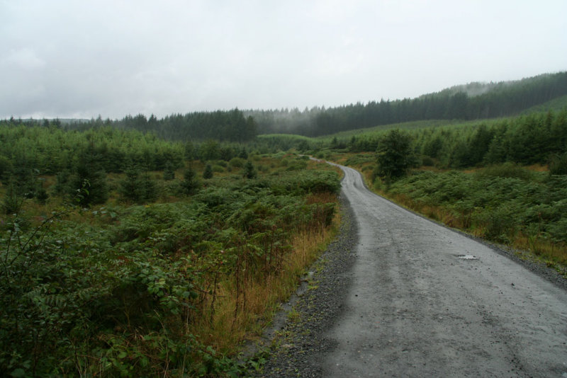 Galloway Forest Park - Raiders Road