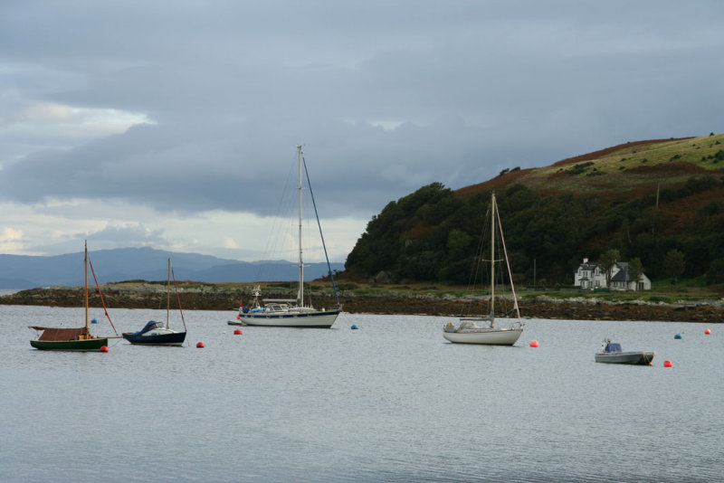 On Arran - Lochranza