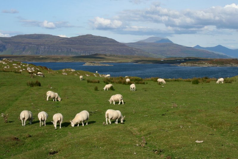 On the Isle of Mull