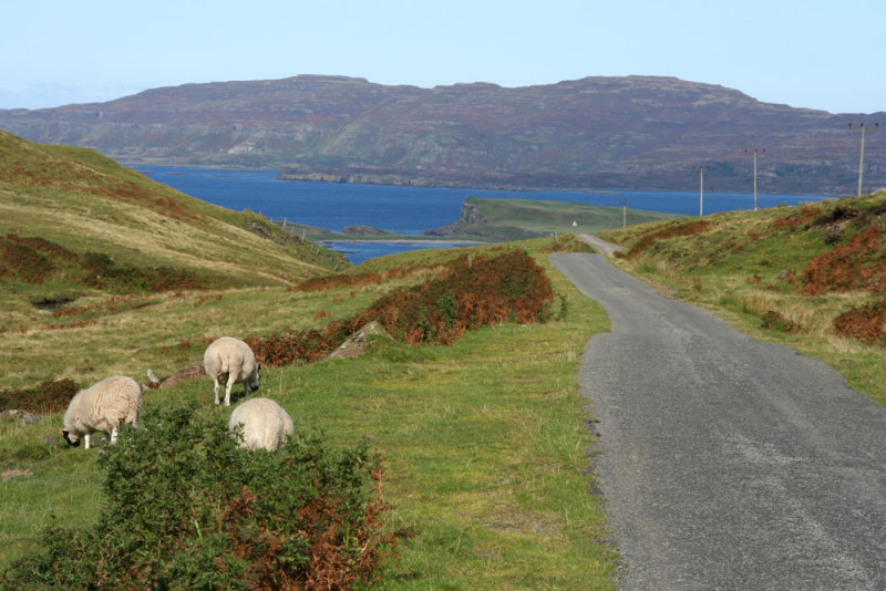 On the Isle of Mull