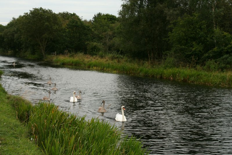 Forth and Clyde Canal