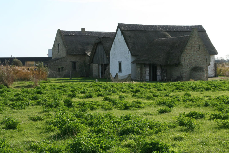 IMG_8500.JPG