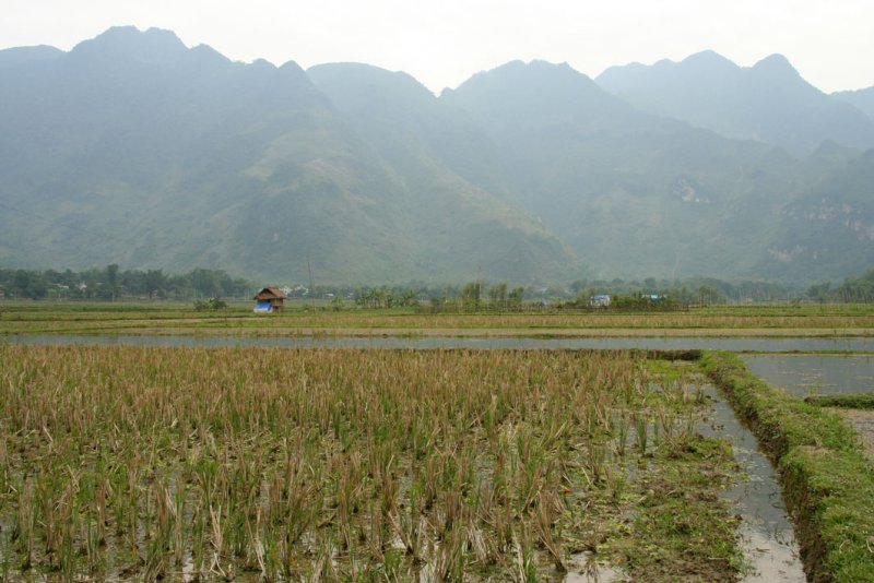 Mai Chau - Lac