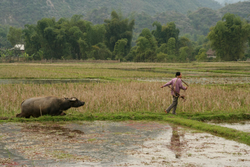 Mai Chau - Lac