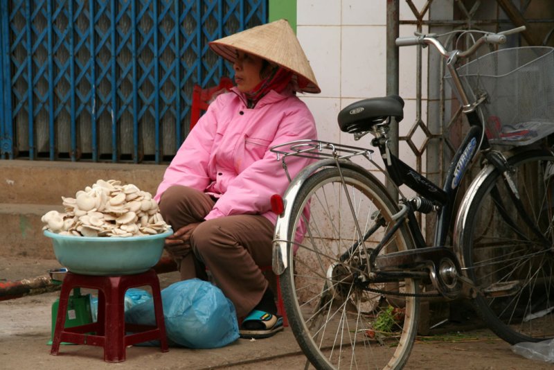 Moc Chau