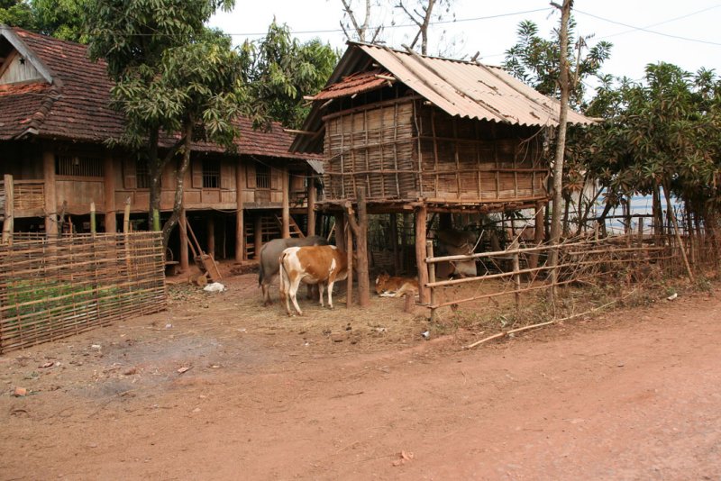 near Yen Chau