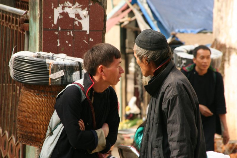 Sapa