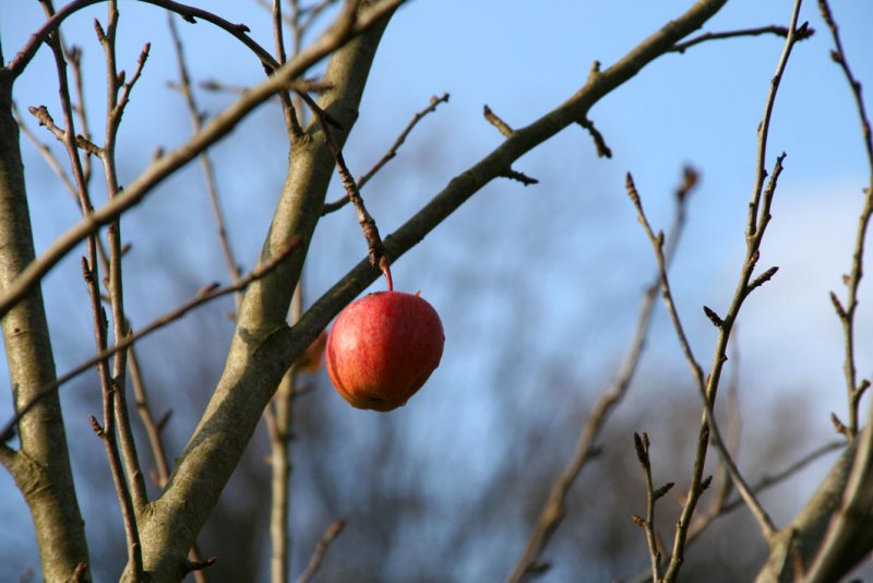 IMG_7447.JPG