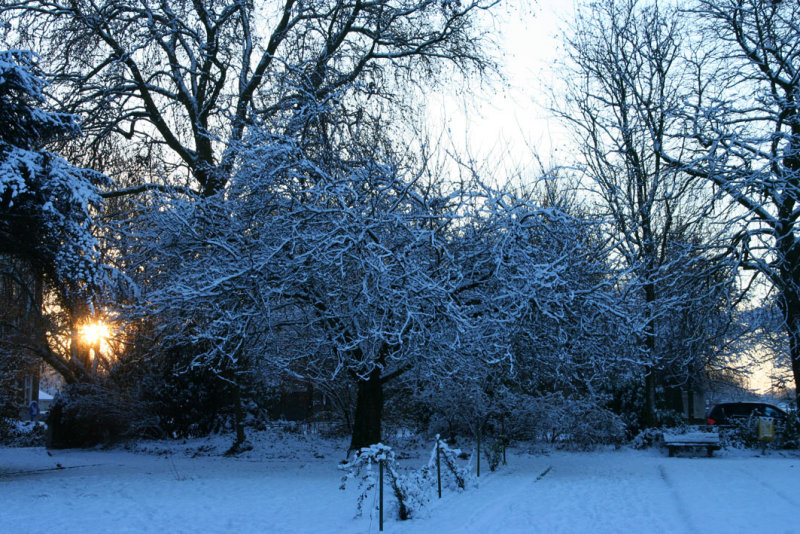 IMG_7576.JPG