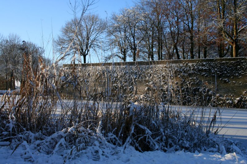 IMG_7655.JPG