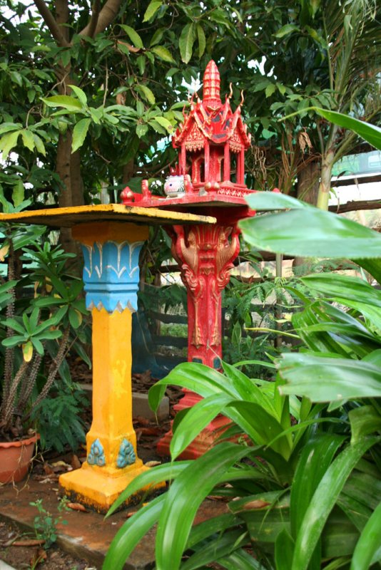 IMG_5798.JPG