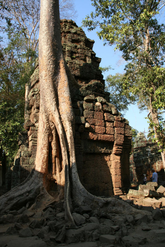 Ta Prohm