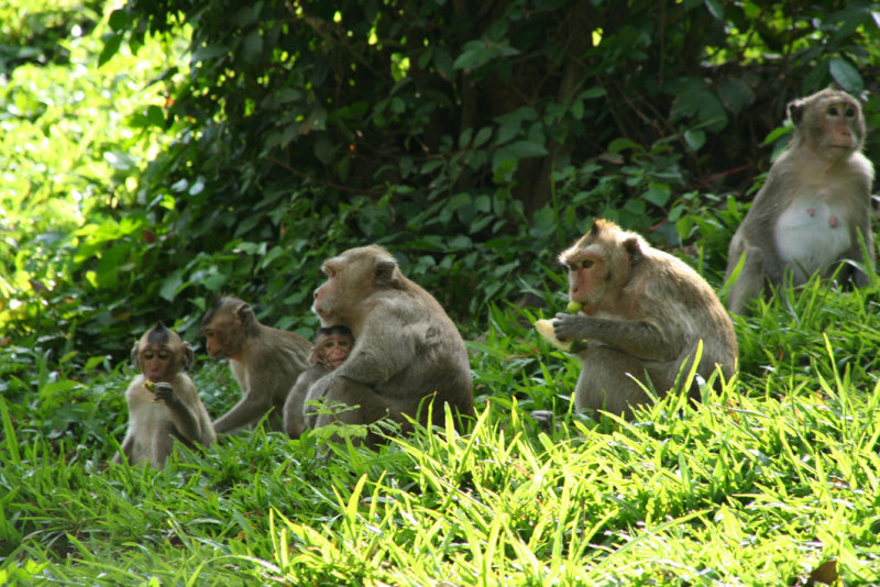 around Wat Phnom