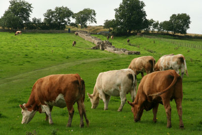 Hadrian's wall