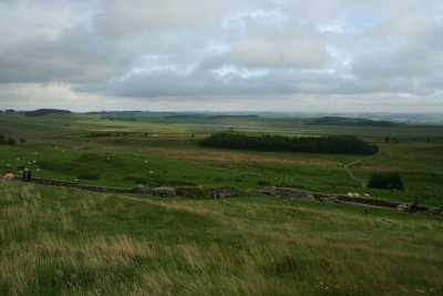 Housesteads Fort