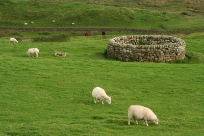 Housesteads Fort - well