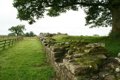 Hadrian's wall