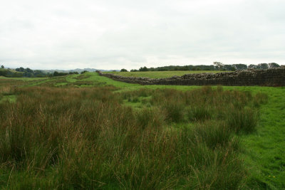 Hadrian's wall