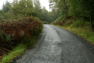 Galloway Forest Park - Raiders Road