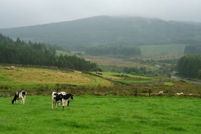 Galloway Forest Park