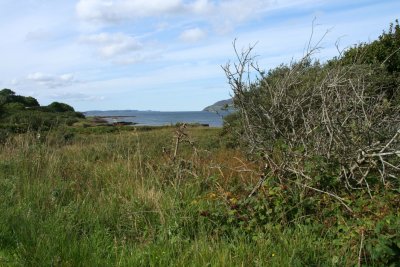 On the Isle of Mull