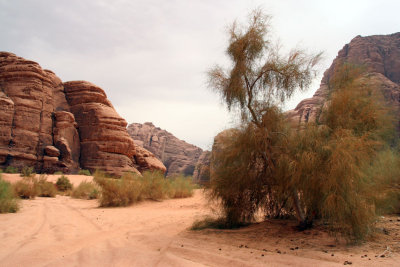Wadi Rum