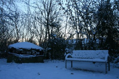 IMG_7589.JPG