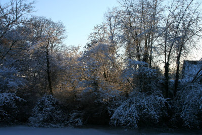 IMG_7609.JPG
