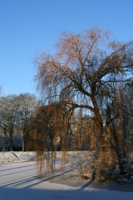 IMG_7643.JPG