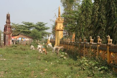 IMG_5895.JPG