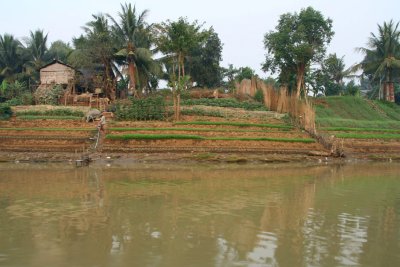 IMG_5902.JPG