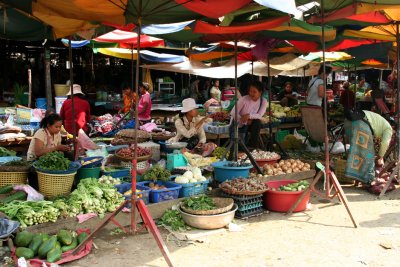 Live in Cambodia