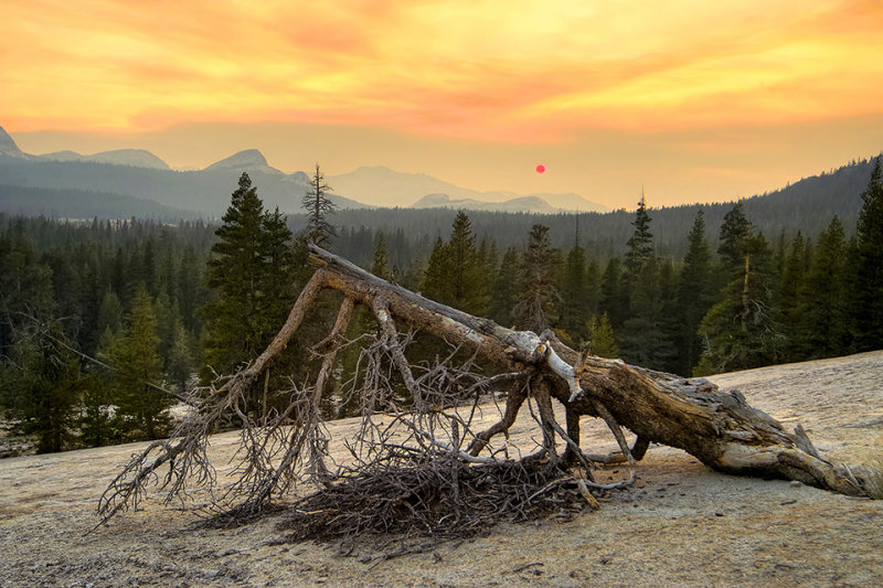 Lembert Dome with Wildfire Smoke