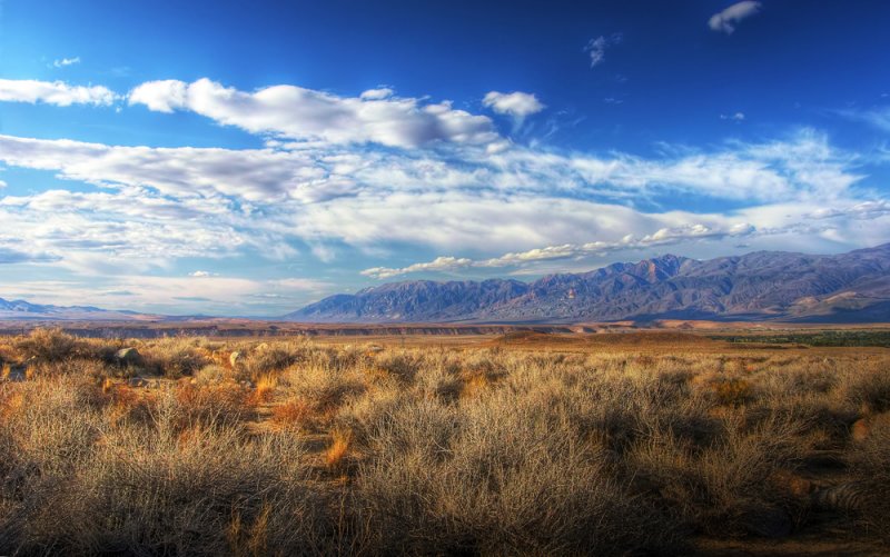 The White Mountains from Bishop