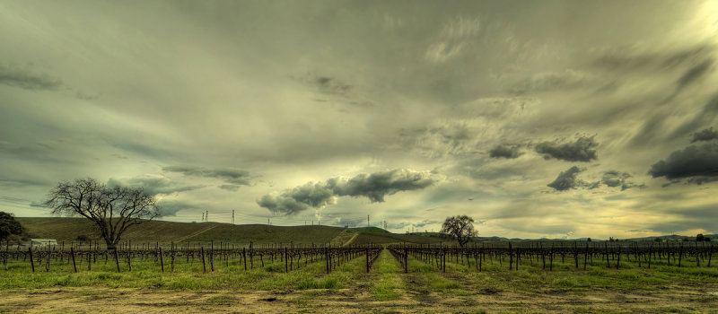 Rural Livermore Afternoon