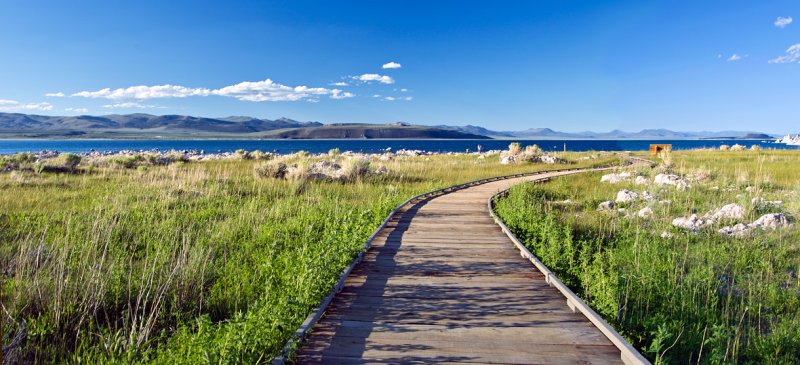 Boardwalk at Mono Lake
