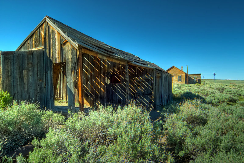 More Bodie