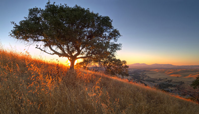 Livermore Valley