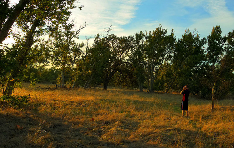 Sycamore Grove 11-03