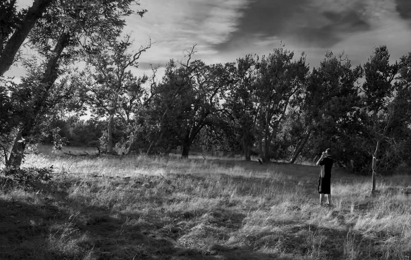 Sycamore Grove B&W