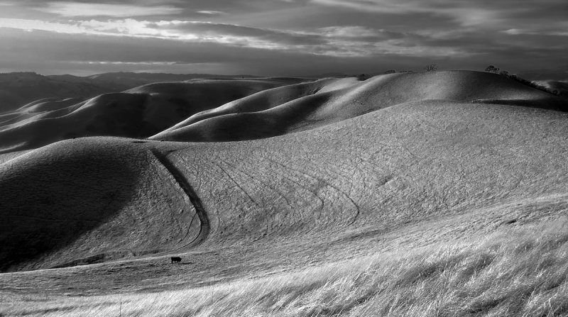 Hillsides