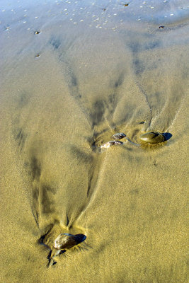 beach_sand