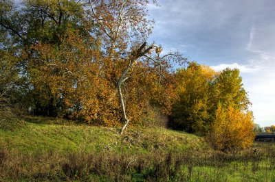 SDIM2192_3_4RiCrX.jpg