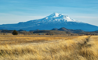 Mt. Shasta from the North