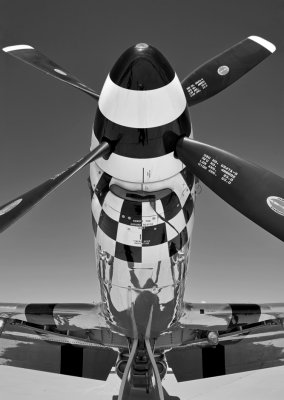 Mustang in B&W