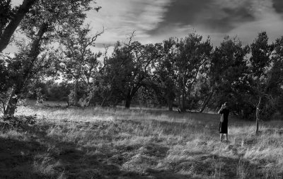 Sycamore Grove B&W